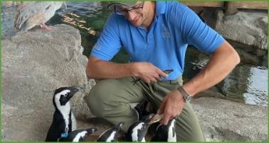 Animal Training Academy Rick Hester