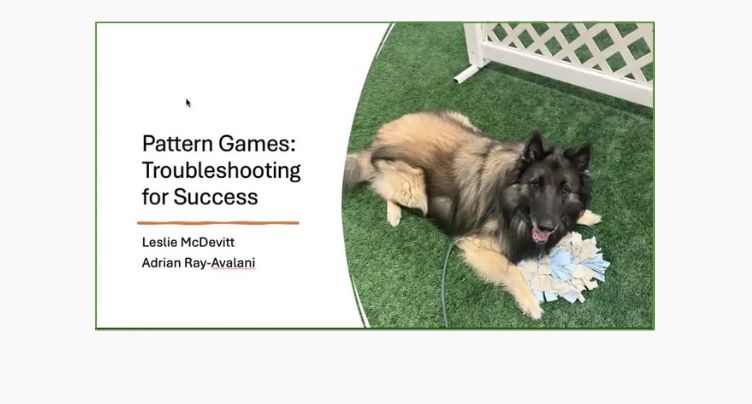 From Overwhelmed to Engaged: Pattern Games with Leslie McDevitt and Adrian Ray-Avalani